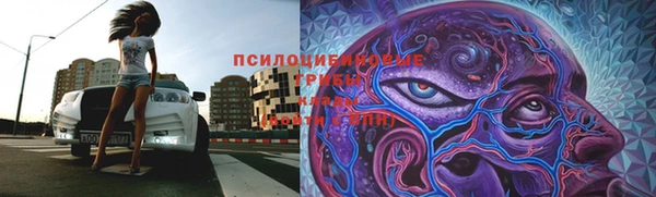 бошки Михайловск