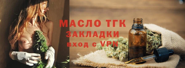 гашик Михайлов