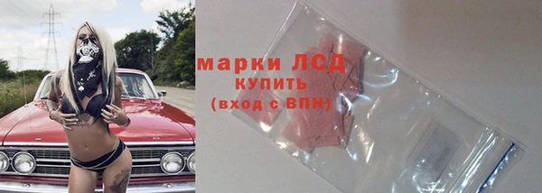индика Инта