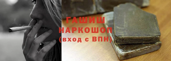 гашик Михайлов