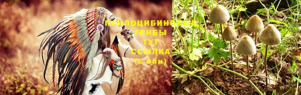 МДМА Медвежьегорск