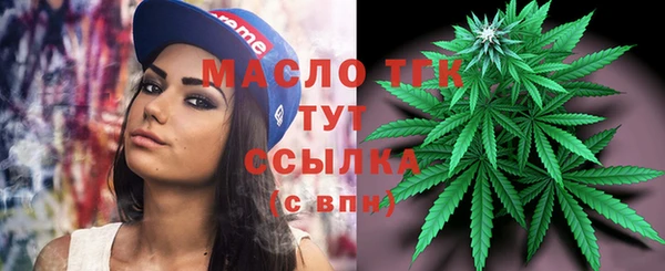индика Инсар